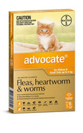 Advocate Cat Small Orange 6's (up to 4kg)