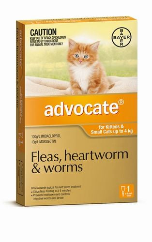 Advocate Single Kitten/Small Cats up to 4kg (Orange)