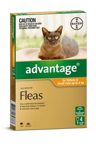 Advantage Cat Small Orange 4's (under 4kg)