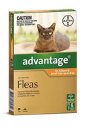Advantage Cat Small Orange 6's (under 4kg)