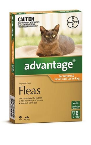 Advantage Cat Small Orange 6's (under 4kg)
