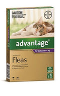 Advantage Cat Large Purple 6's (over 4kg)