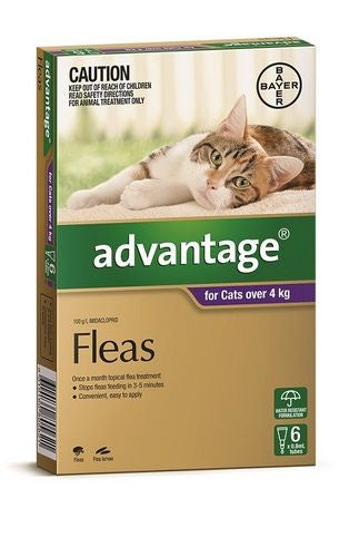 Advantage Cat Large Purple 6's (over 4kg)