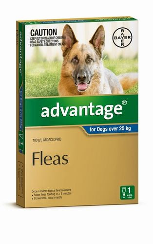 Advantage Single XLarge Dog Royal Blue (Over 25kg)