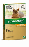 Advantage Single Kitten/Small Cat Orange (up tp 4kg)