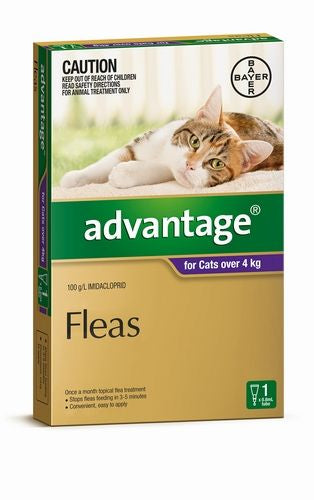 Advantage Single Large Cat Purple (over 4kg)
