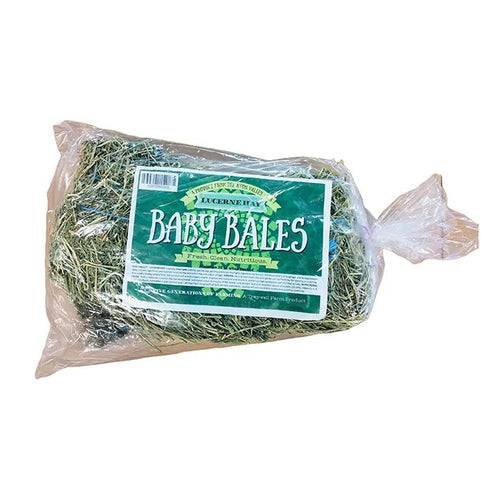 Baby Bales Lucerne Hay 20L from Pet Supplies Perth WA, showing fresh green hay in a compact bale suitable for small pets and animals.