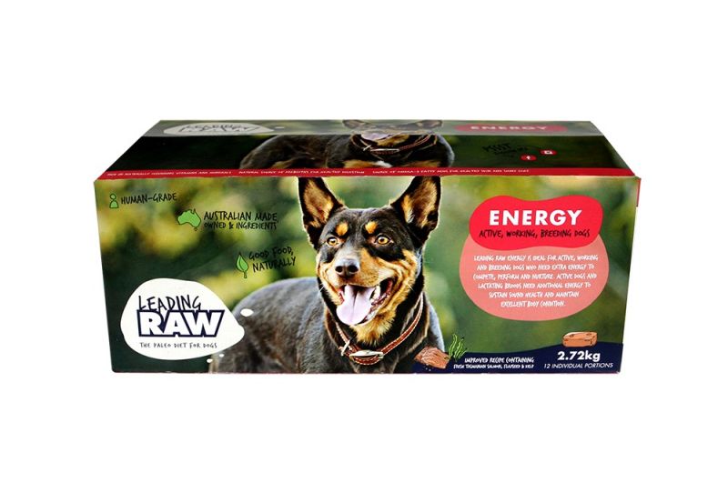 BIG DOG Leading Raw Frozen ENERGY 2.72kg (4/ctn)