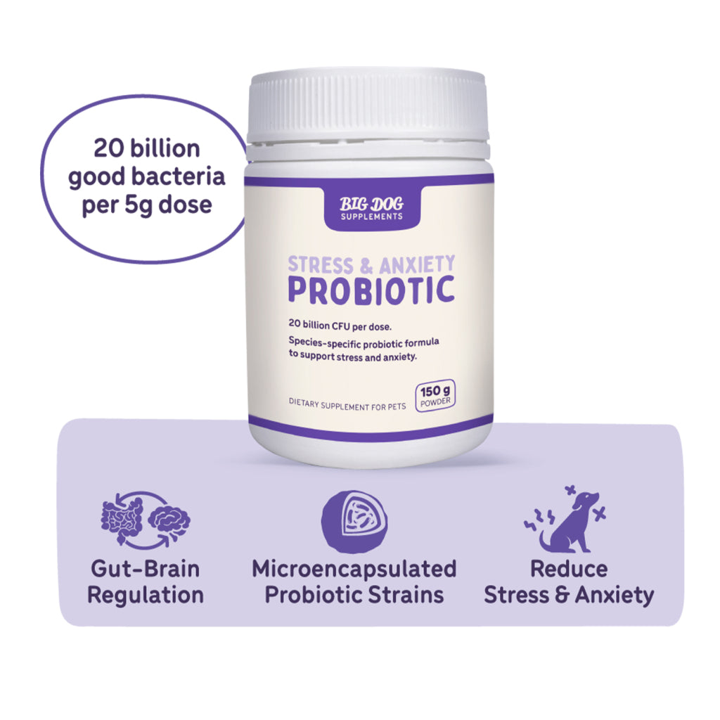 BIG DOG Stress & Anxiety Probiotic 150g
