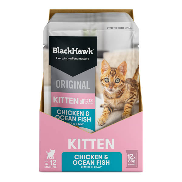 Black Hawk KITTEN Original Chicken Oceanfish in Gravy Pouch 85g (12)