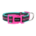 DOOG Neon Collar RIN TIN TIN - Medium