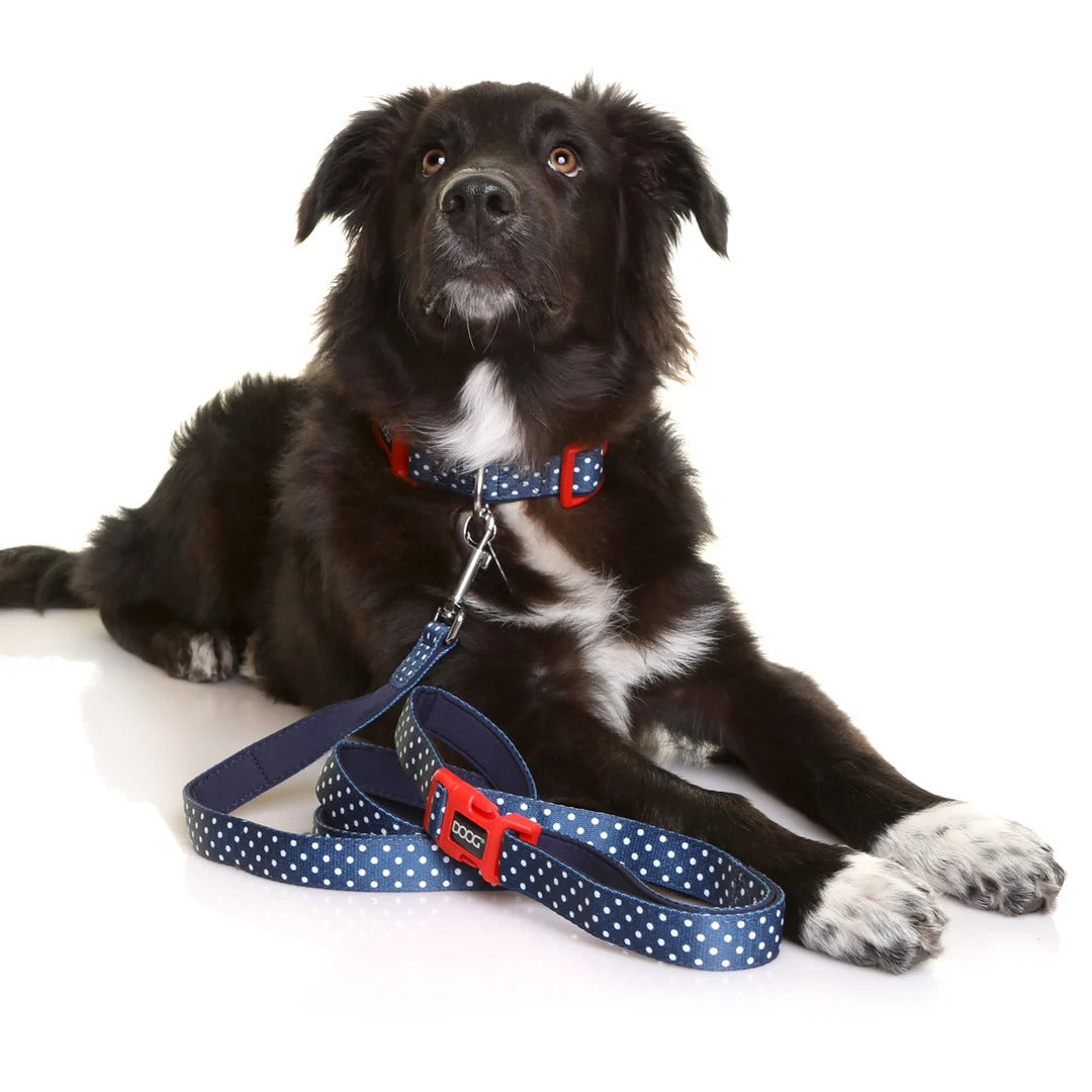 DOOG Neon Collar RIN TIN TIN - Small