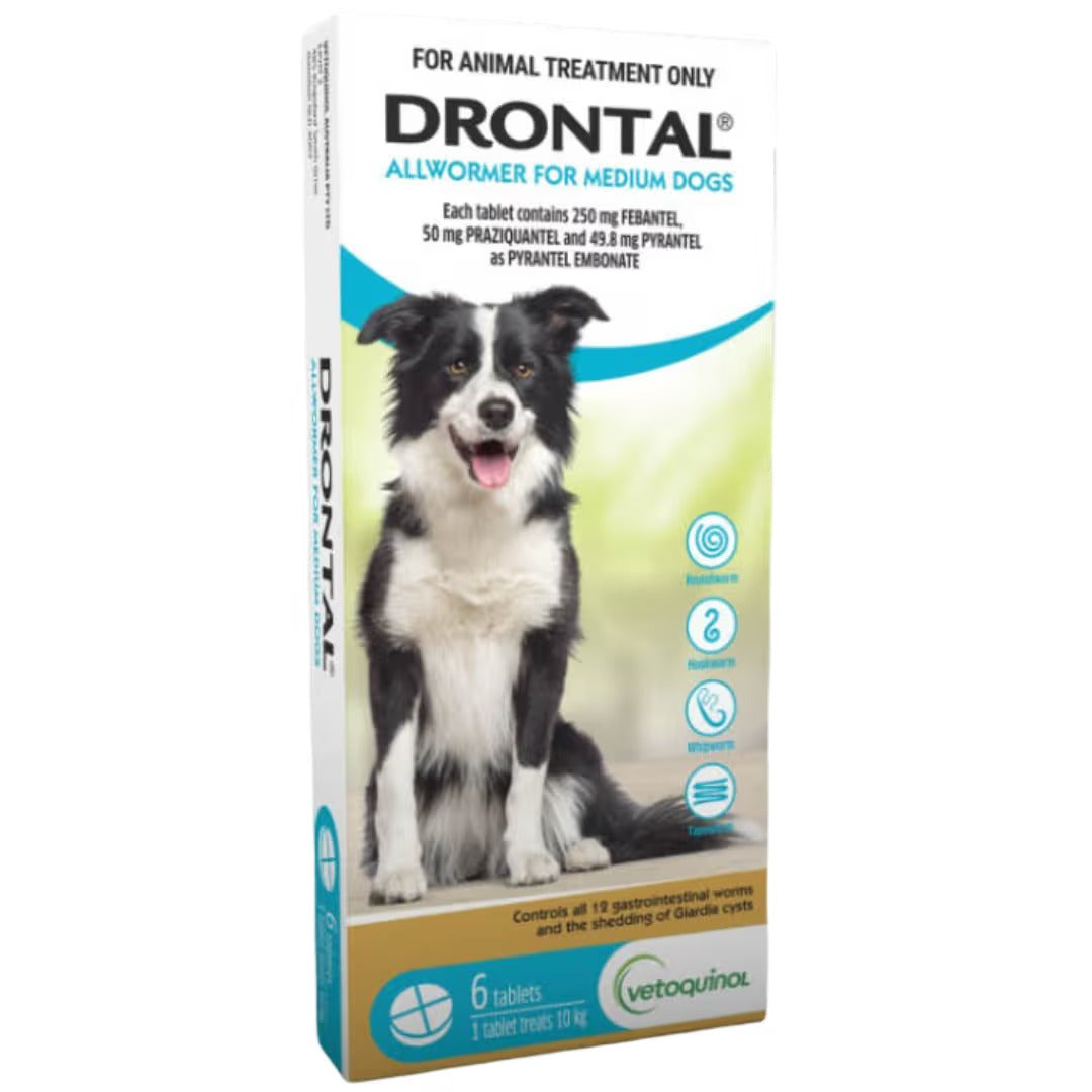 Drontal Allwormer Medium Dog 6 Tablets (One tablet treats 10kg)