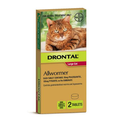 Drontal Cat Wormer Large Cat 2 Tablets (one tab treats 6kg)