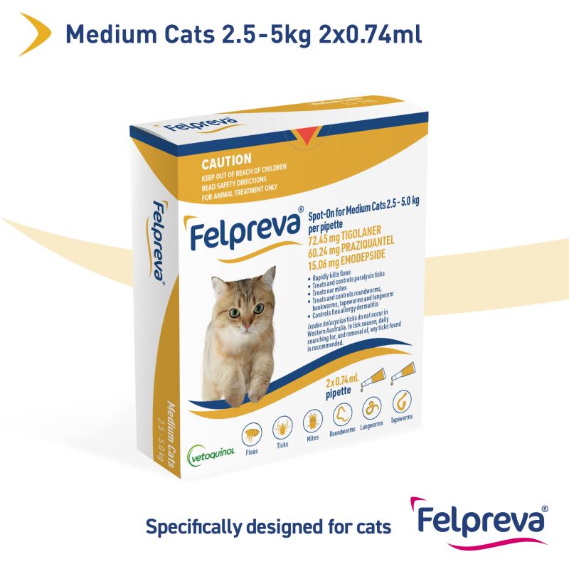 FELPREVA Medium Cats Spot On >2.5kg-5kg (1 Pack) Yellow