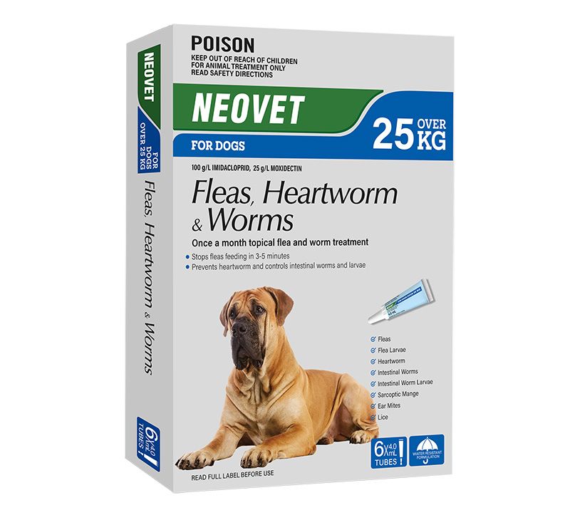 NEOVET for Dogs BLUE (Over 25kg) 6 Pack