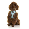 DOOG Neoflex harness scooby - Medium
