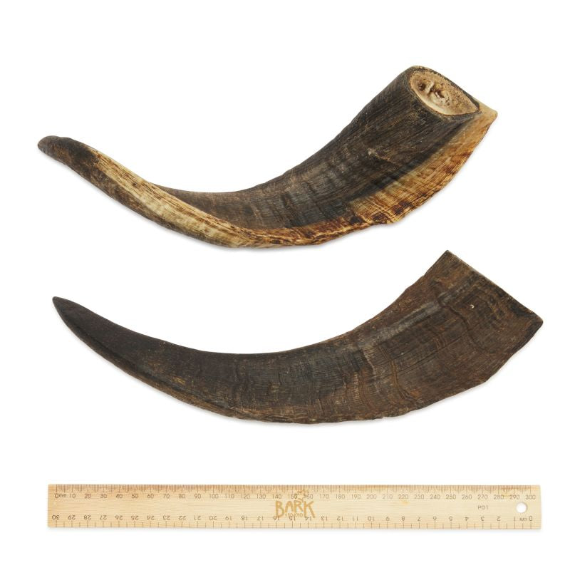 BARK & BEYOND Goat Horns Large 27-32cm