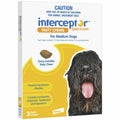 Interceptor Medium Dog 6pk