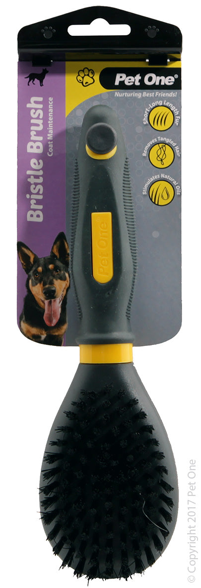 PET ONE Grooming Bristle Brush Large