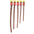 PET ONE Collar Leather Single Row Studded 55cm Brown