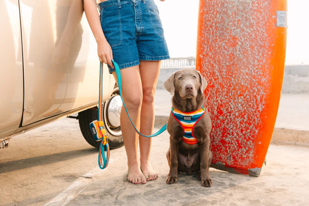 DOOG Neoprene Leash 'Clip It' DASH - Extra Large