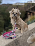 DOOG Neoprene Dog Leash STELLA - Small