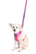DOOG Neoprene Dog Leash LUNA - Small