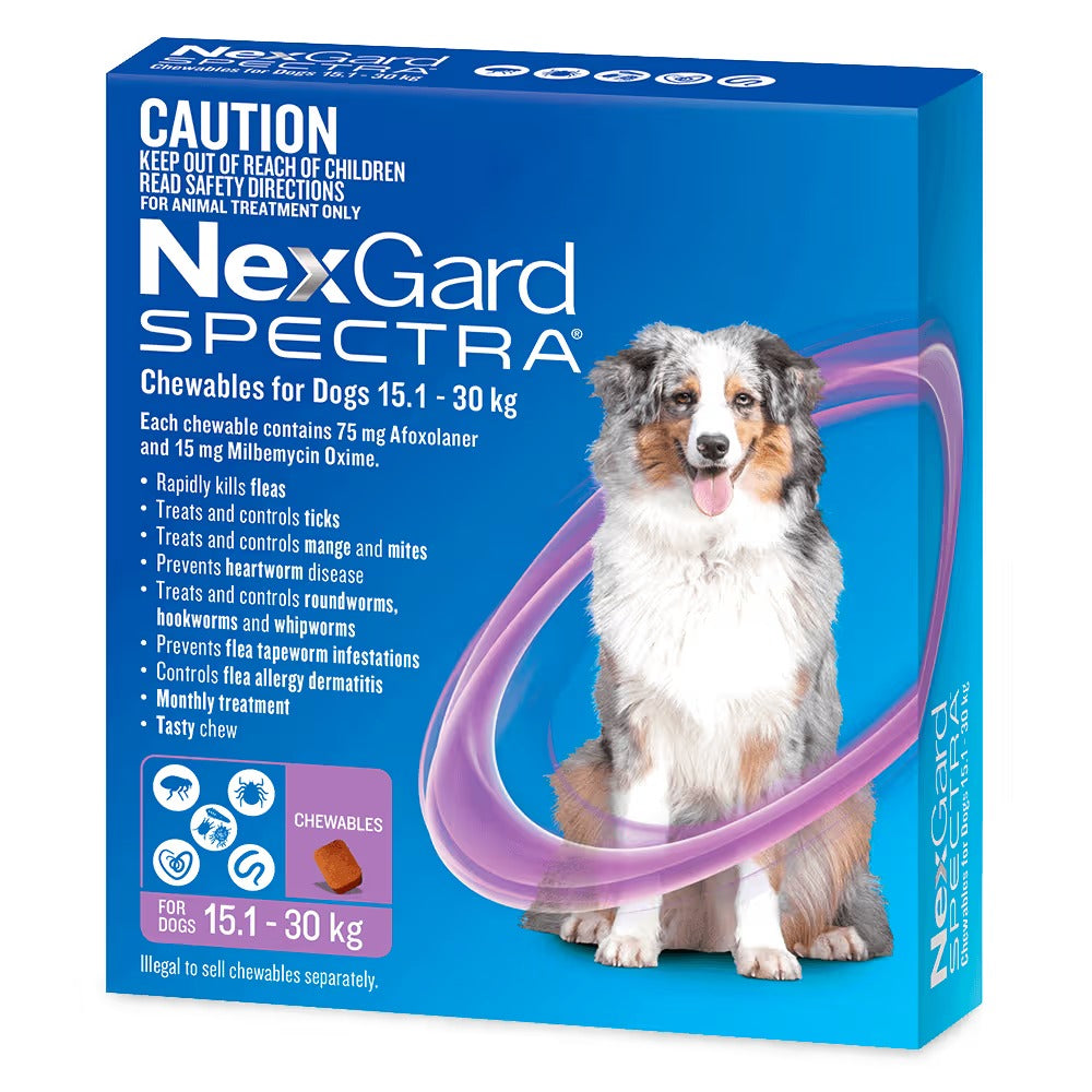 Nexgard Dog Spectra Chewables 15.1-30kg 3 pack (Purple)