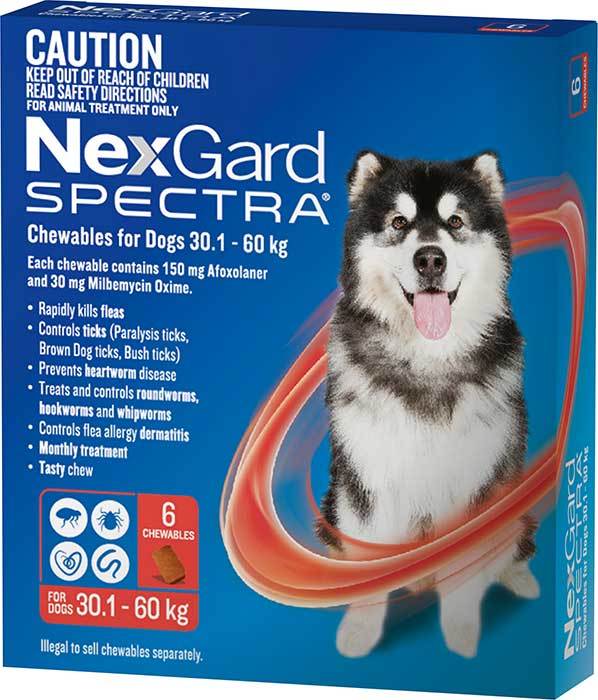 Nexgard Dog Spectra Chewables 30.1-60kg 6 pack (Red)