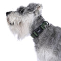 DOOG Neosport Neoprene Dog Collar BLACK - Small