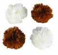 PETFACE Catkins Pom Pom Balls Kitten 2 Pieces